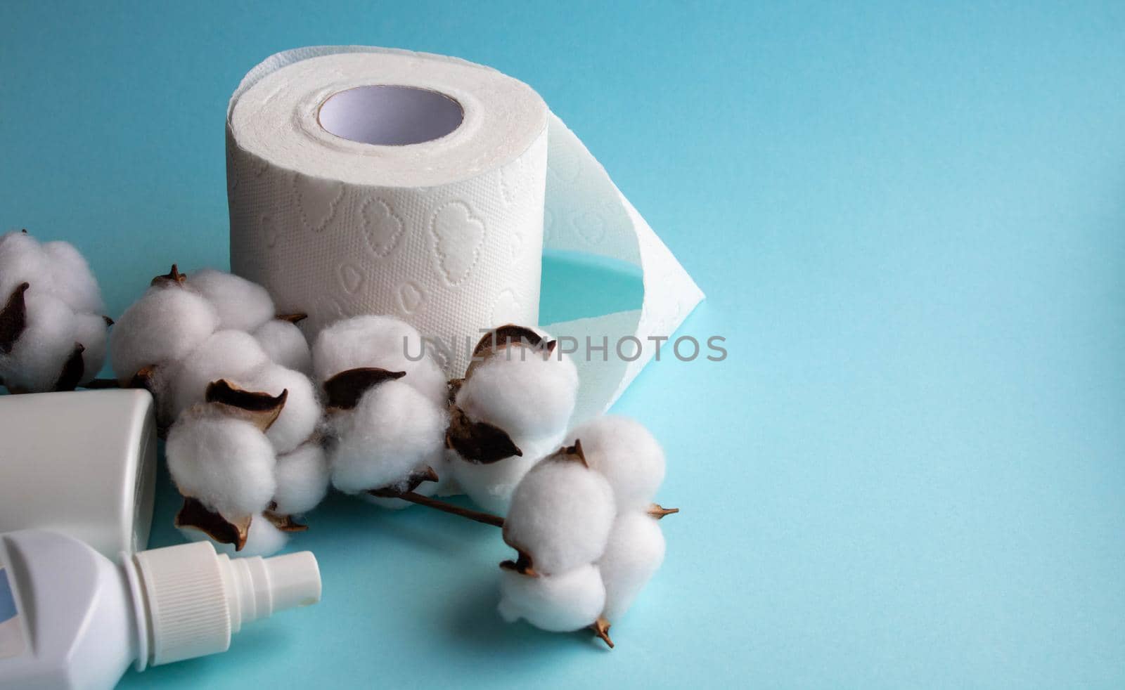 Toilet paper roll isolated on a blue background, with a branch of fluffy cotton flowers.