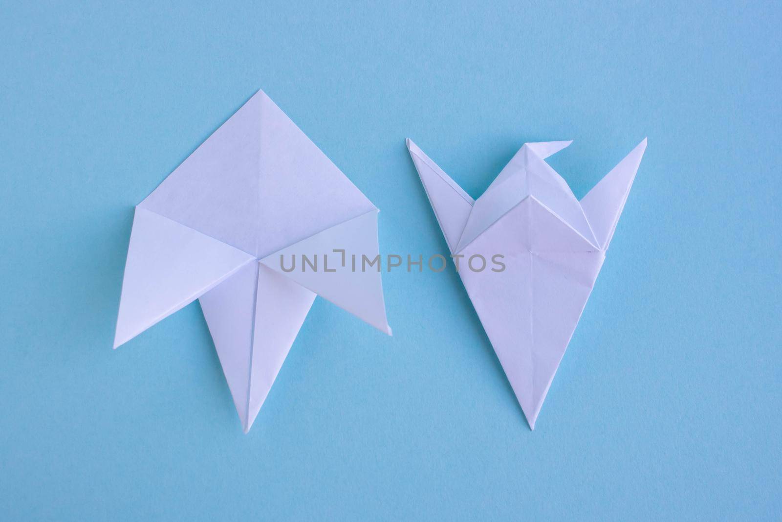 Handmade white trendy geometric polygonal paper origami fish on blue background.Step 3. Horizontal poster.