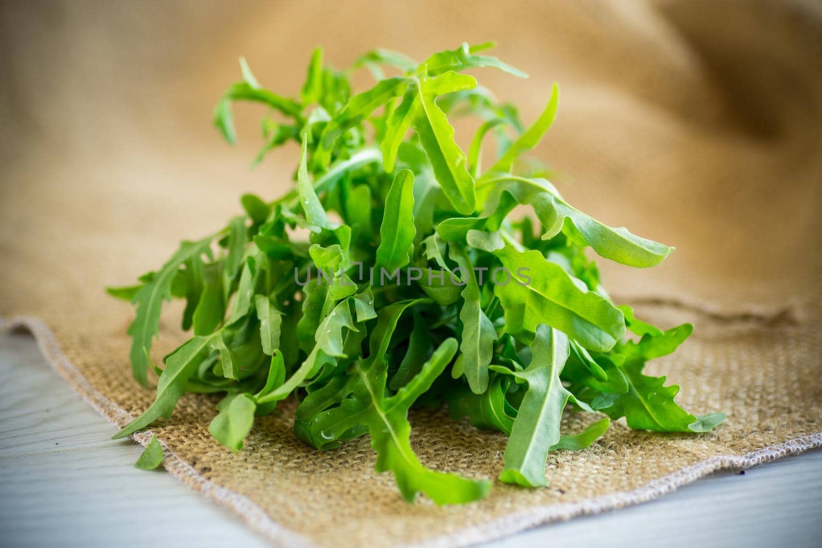 a bunch of fresh juicy green arugula on a light wooden background