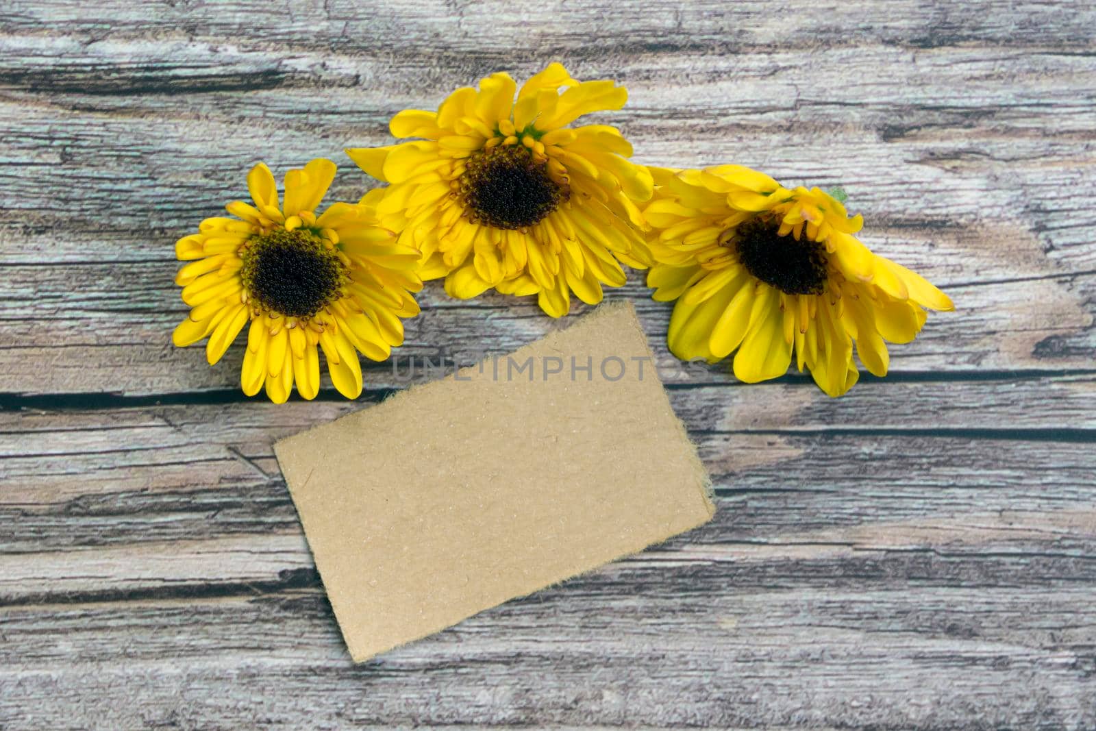 Torn brown paper on wooden surface and sunflower flat lay with copy space. Directly above.