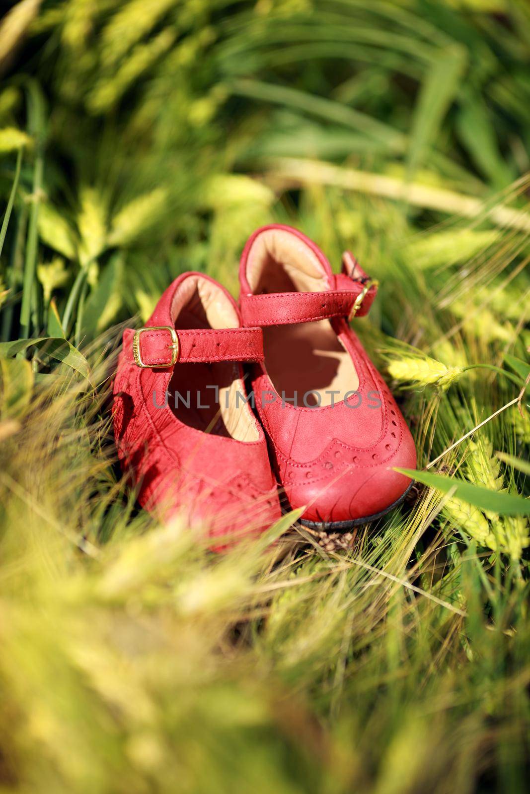 pink newborn baby shoes in green grass