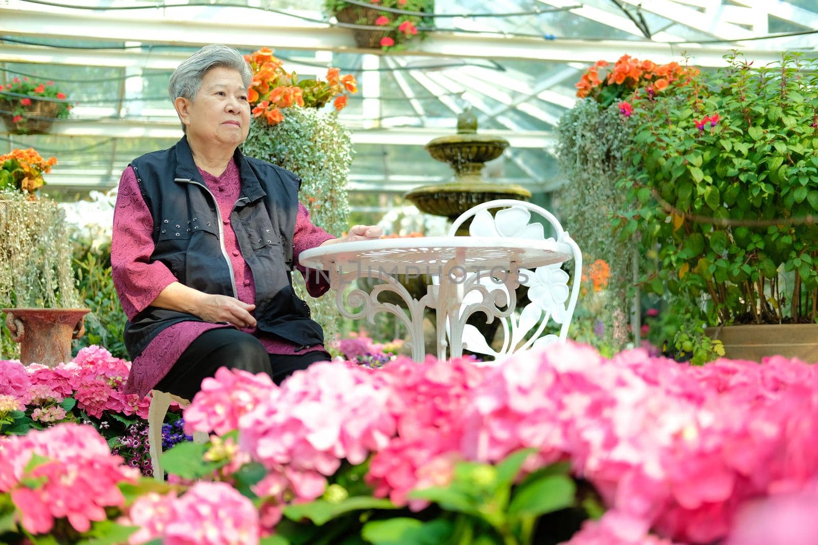old elder woman resting in flower garden. asian elderly female relaxing in park. senior leisure lifestyle