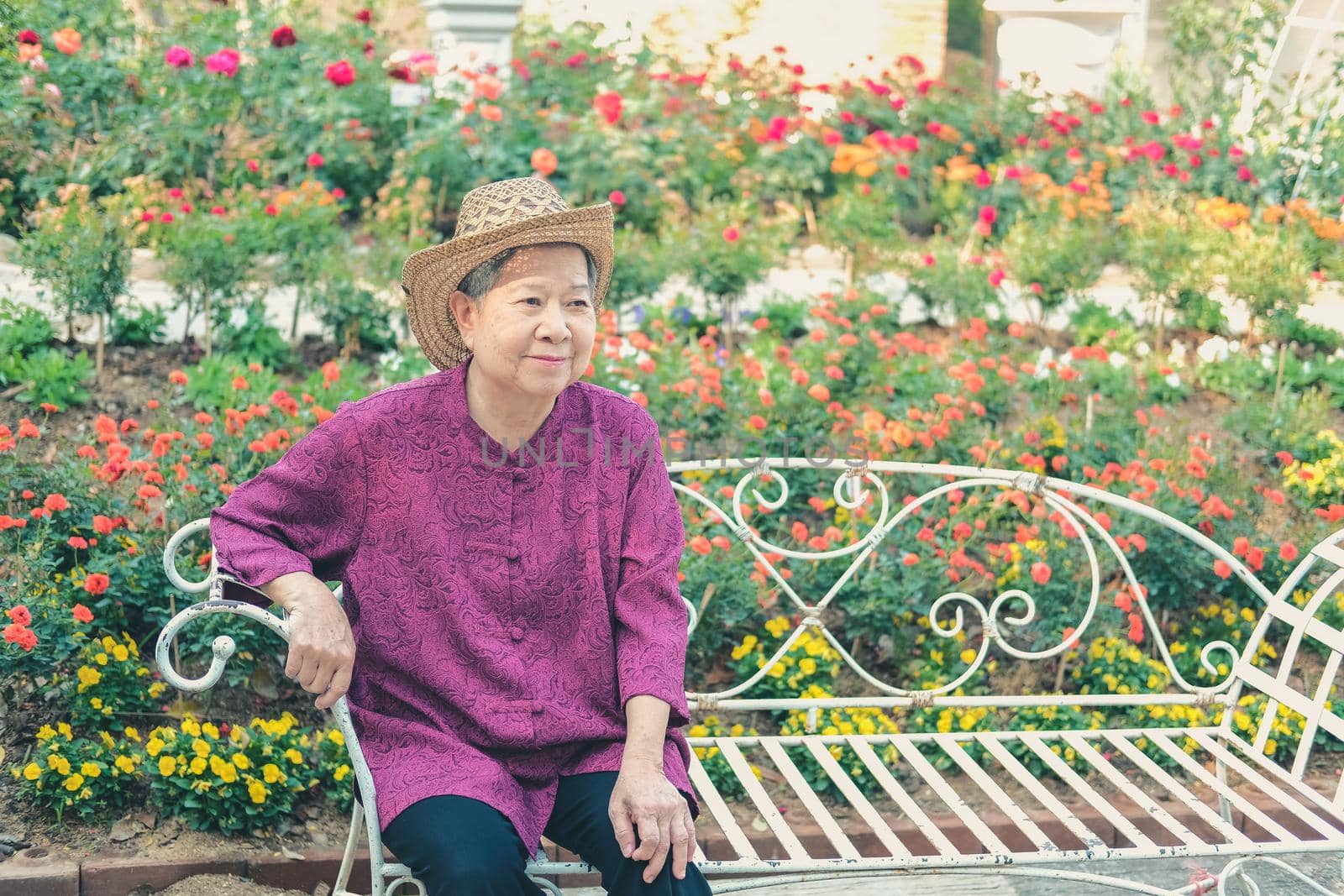 old elder woman resting in flower garden. asian elderly female relaxing in park. senior leisure lifestyle