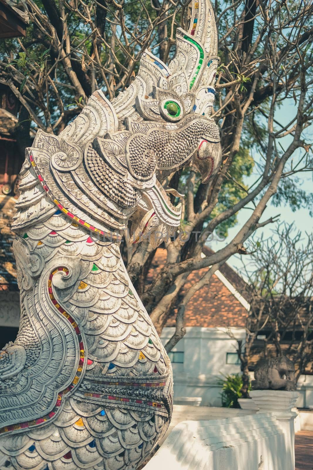 Thai naka naga statue in park  by pp99