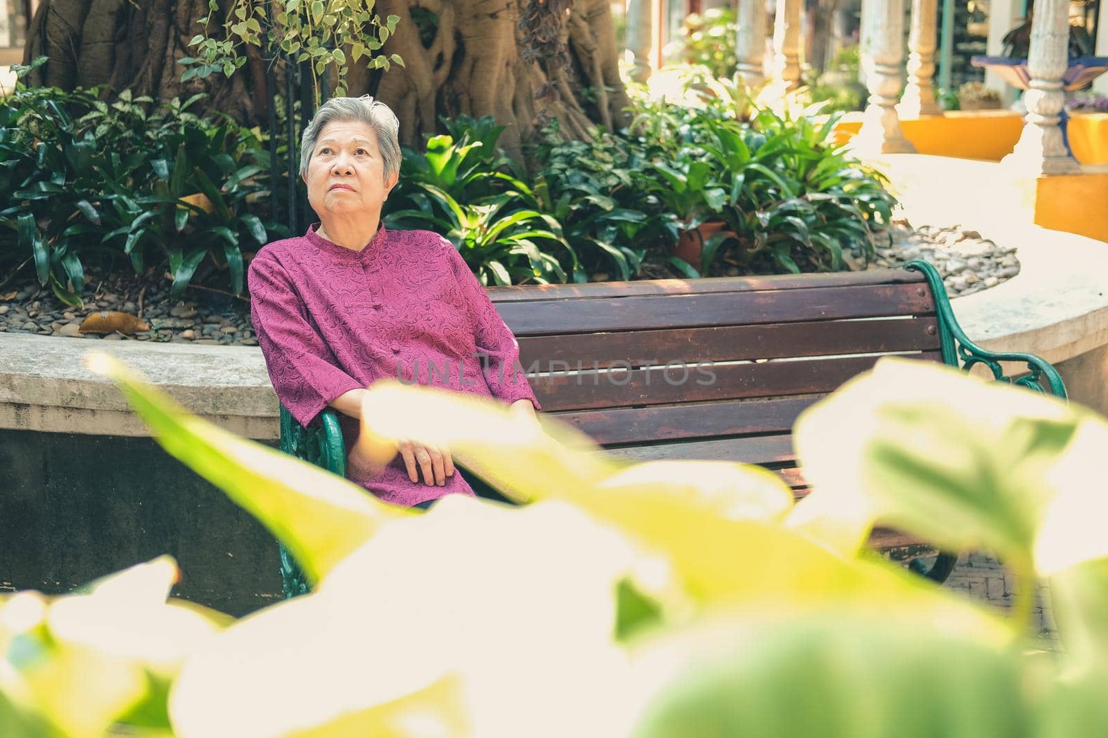 old elder woman resting in garden. asian elderly female relaxing in park. senior leisure lifestyle
