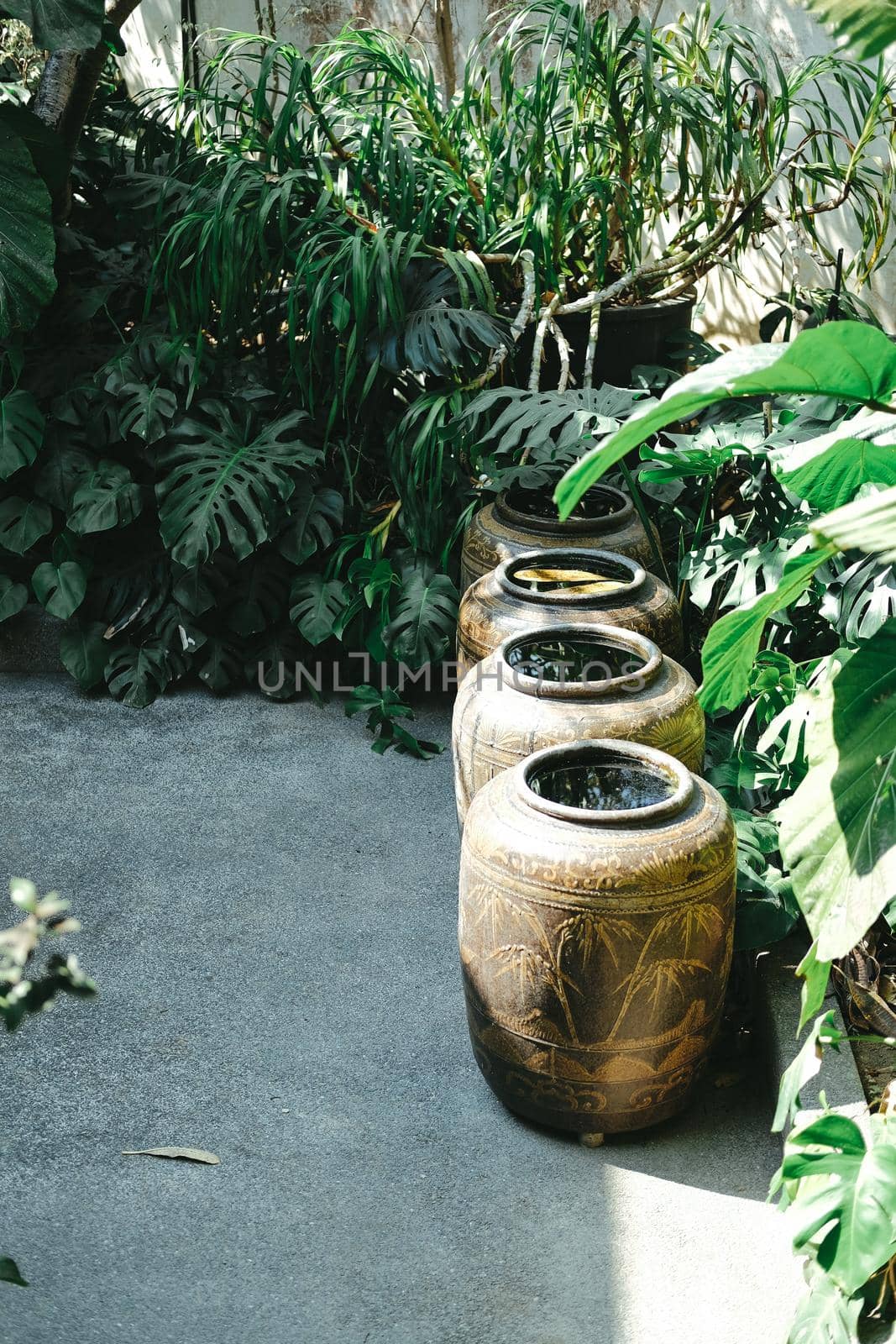 earthen water jar in garden. rain pot reservoir by pp99