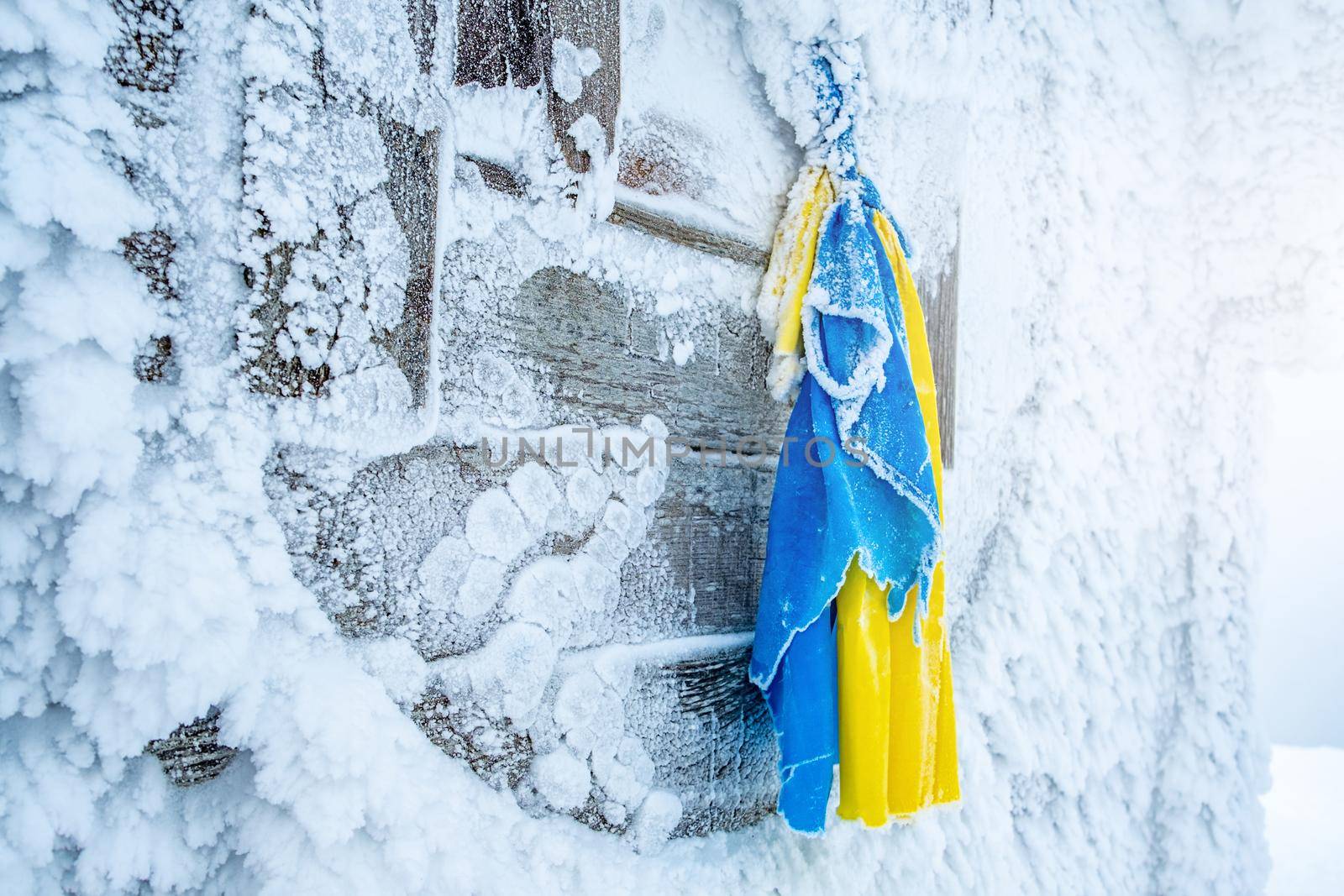 National flag of Ukraine frozen high on cold winter mountain