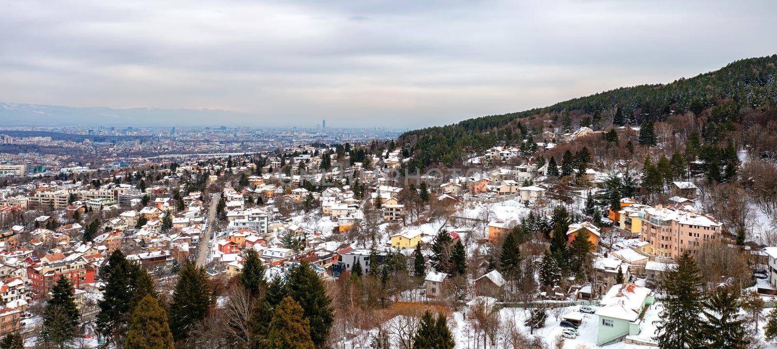 Panoramic view of the city covered with snow. Sofia, Bulgaria by EdVal