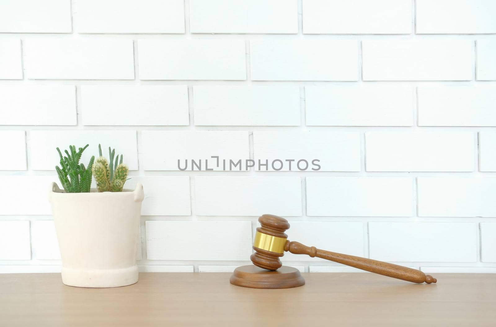 legal law judge gavel near white brick wall. lawyer attorney justice workplace. succulent cactus plant in pot