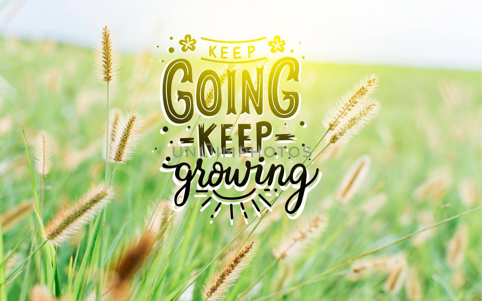 motivational quotes, keep going keep growing, motivational messages keep going, keep growing, motivational phrases of encouragement