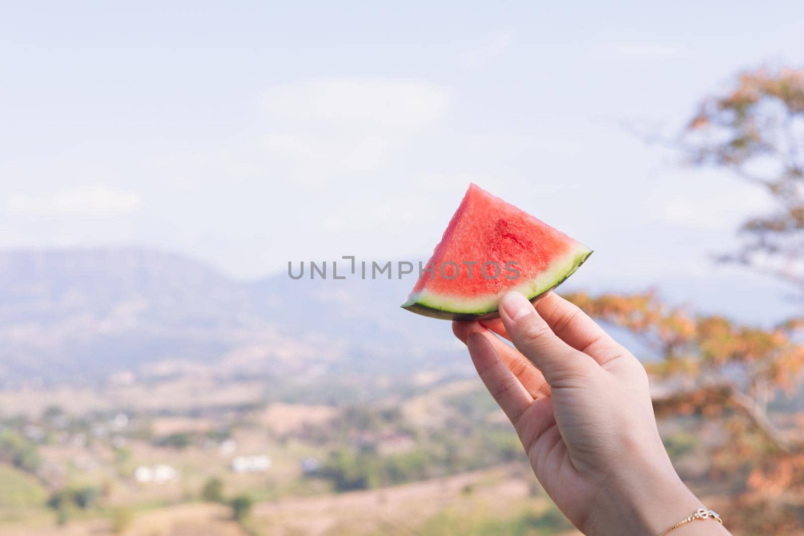 A female holding a watermelon slice in front of the mountain