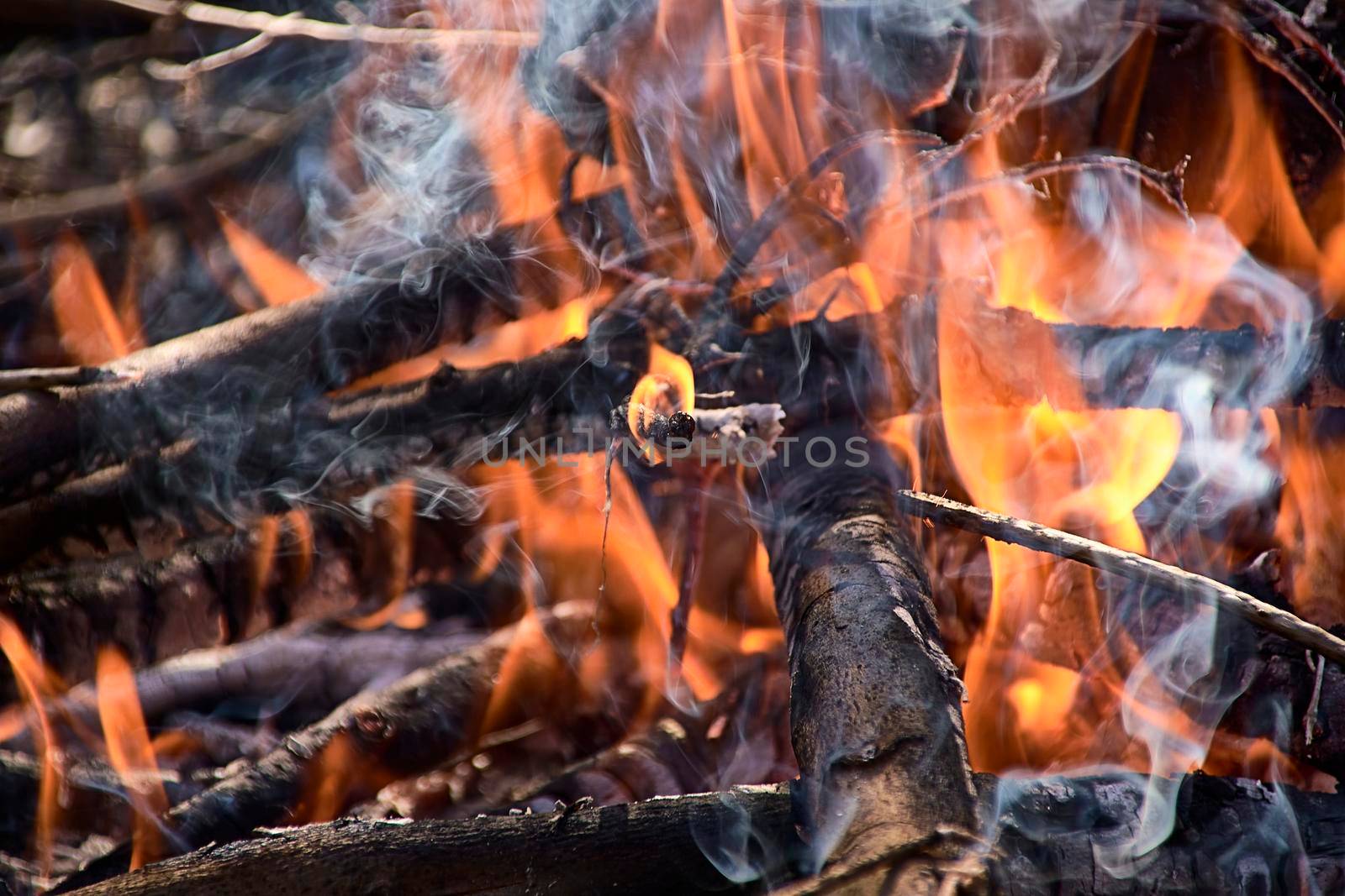 A small wood fire in the field.Out of focus background, grass, small firewood.