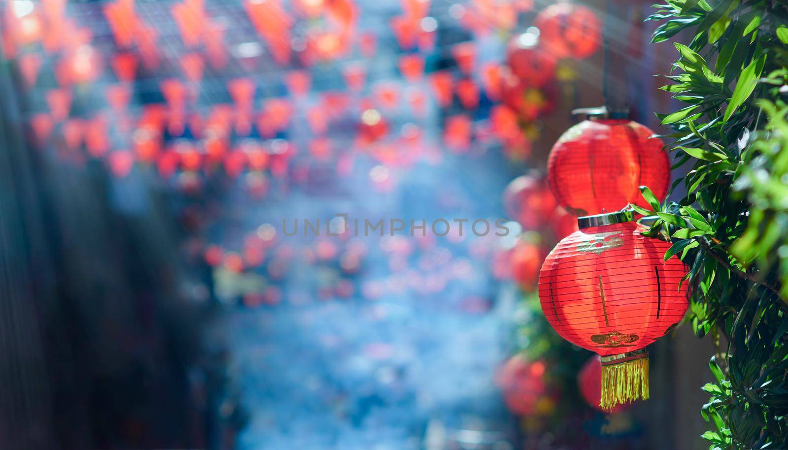 Chinese new year lanterns in chinatown by toa55