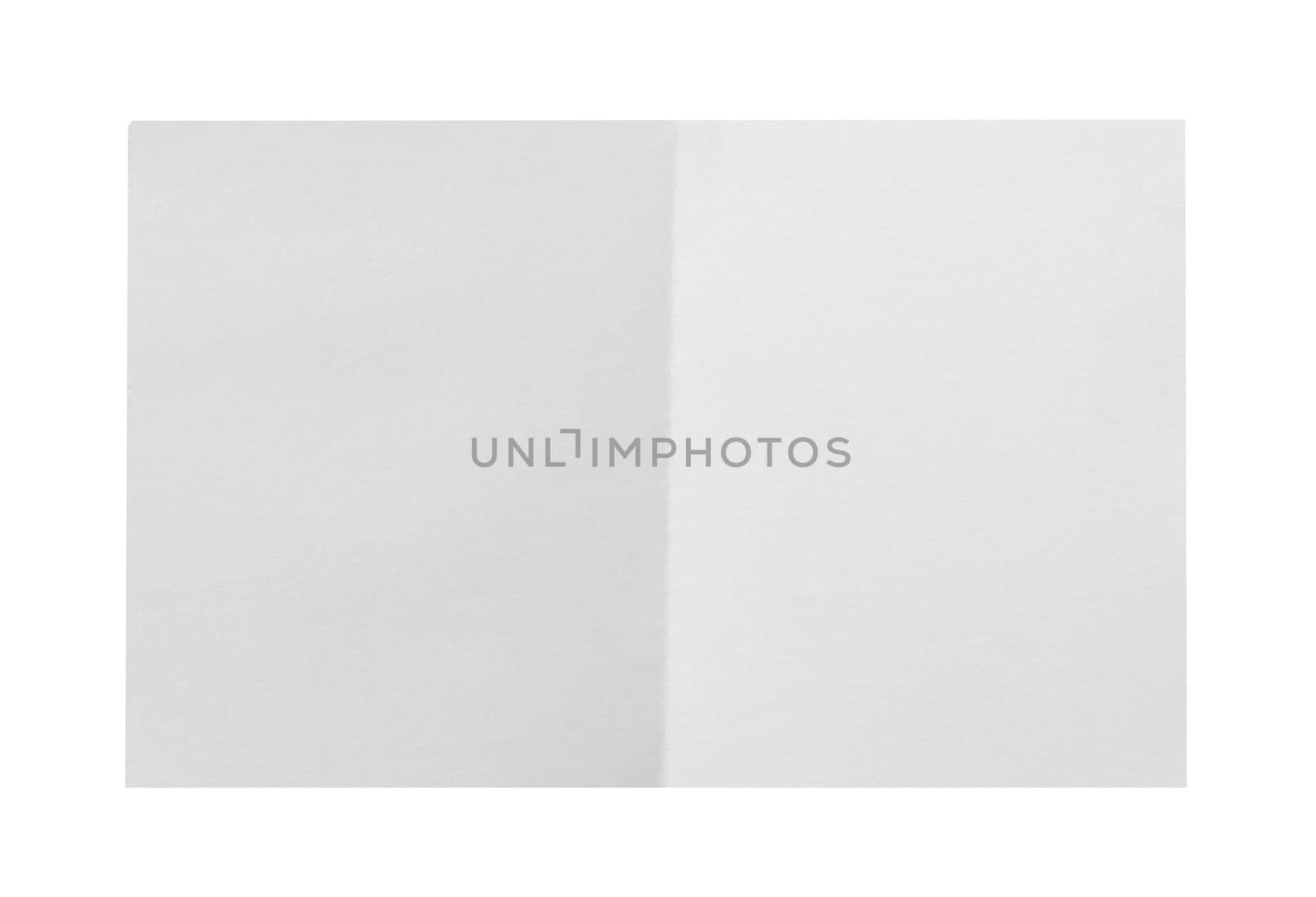 collection of white ripped pieces of paper on white background. each one is shot separately