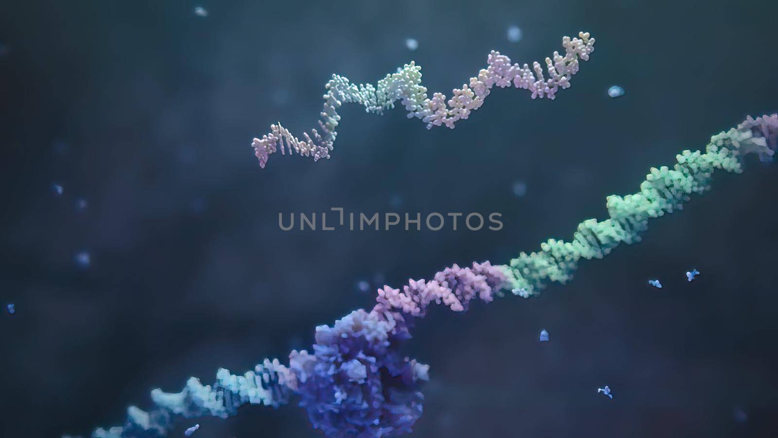 3d render illustration of Single strand ribonucleic acid. RNA research and therapy by creativepic
