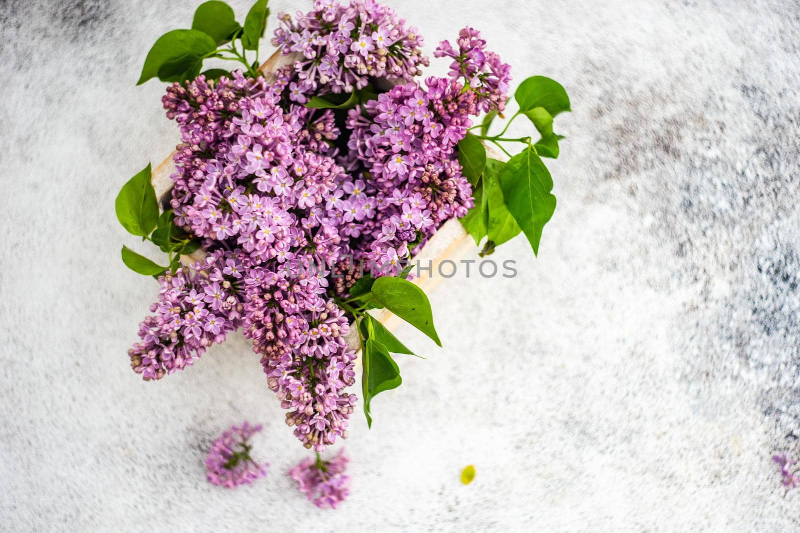 Minimalistic home interior decor with lilac flowers by Elet