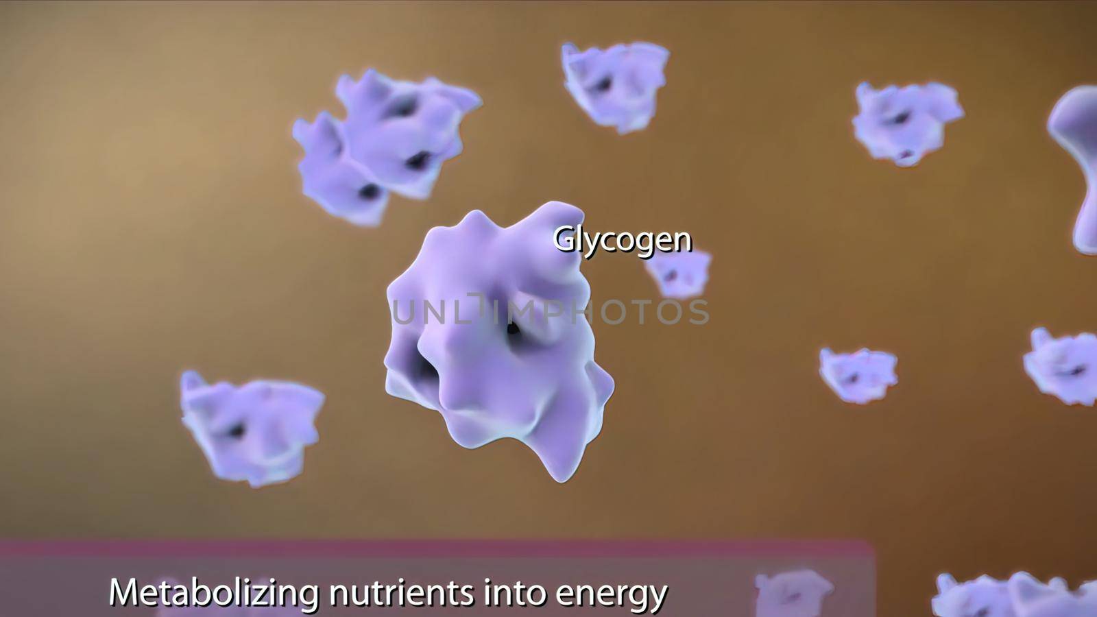 Metabolizing nutriens into energy 3D illustration