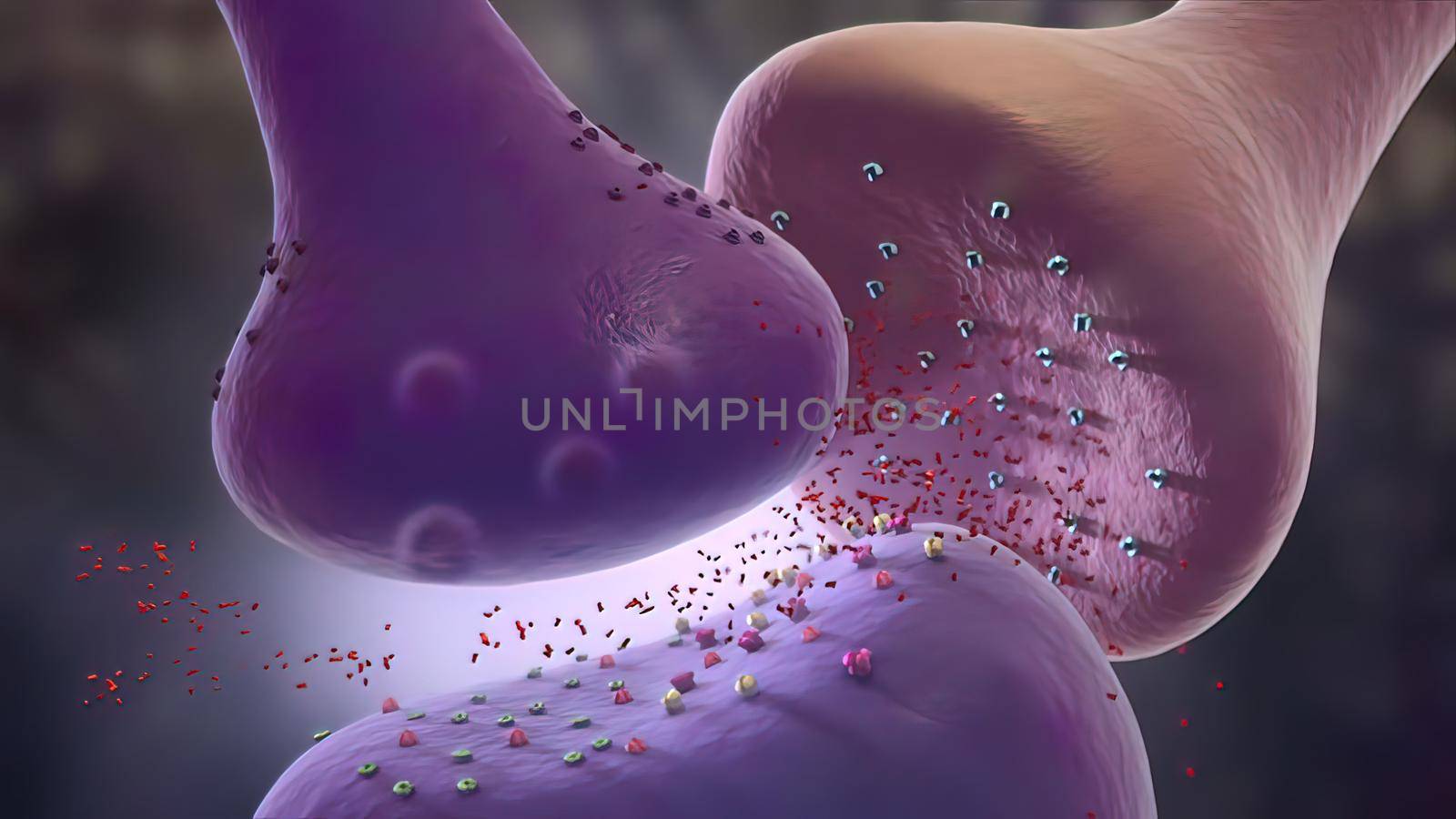 Neurons deprived of major input from axons that have been destroyed may themselves atrophy. This phenomenon is called anterograde degeneration.3D illustration