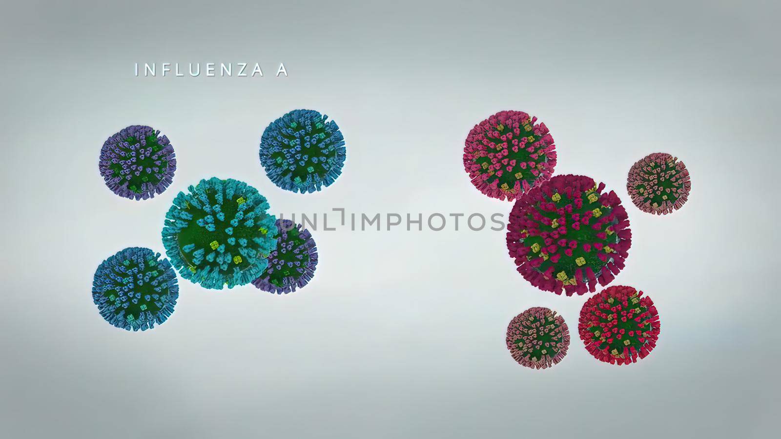 Influenza A and B viruses are influenza viruses that cause outbreaks in humans.3D illustration