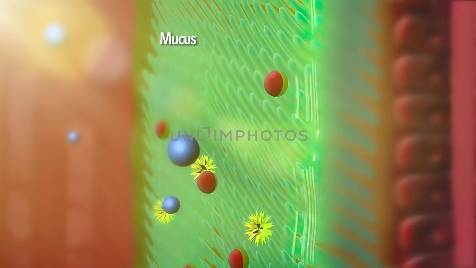 the respiratory system captures and removes bacteria 3D illustration