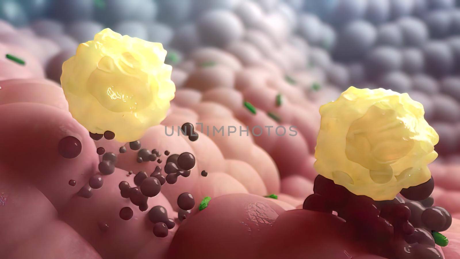 Memory T cell destroys infected cells 3D illustration