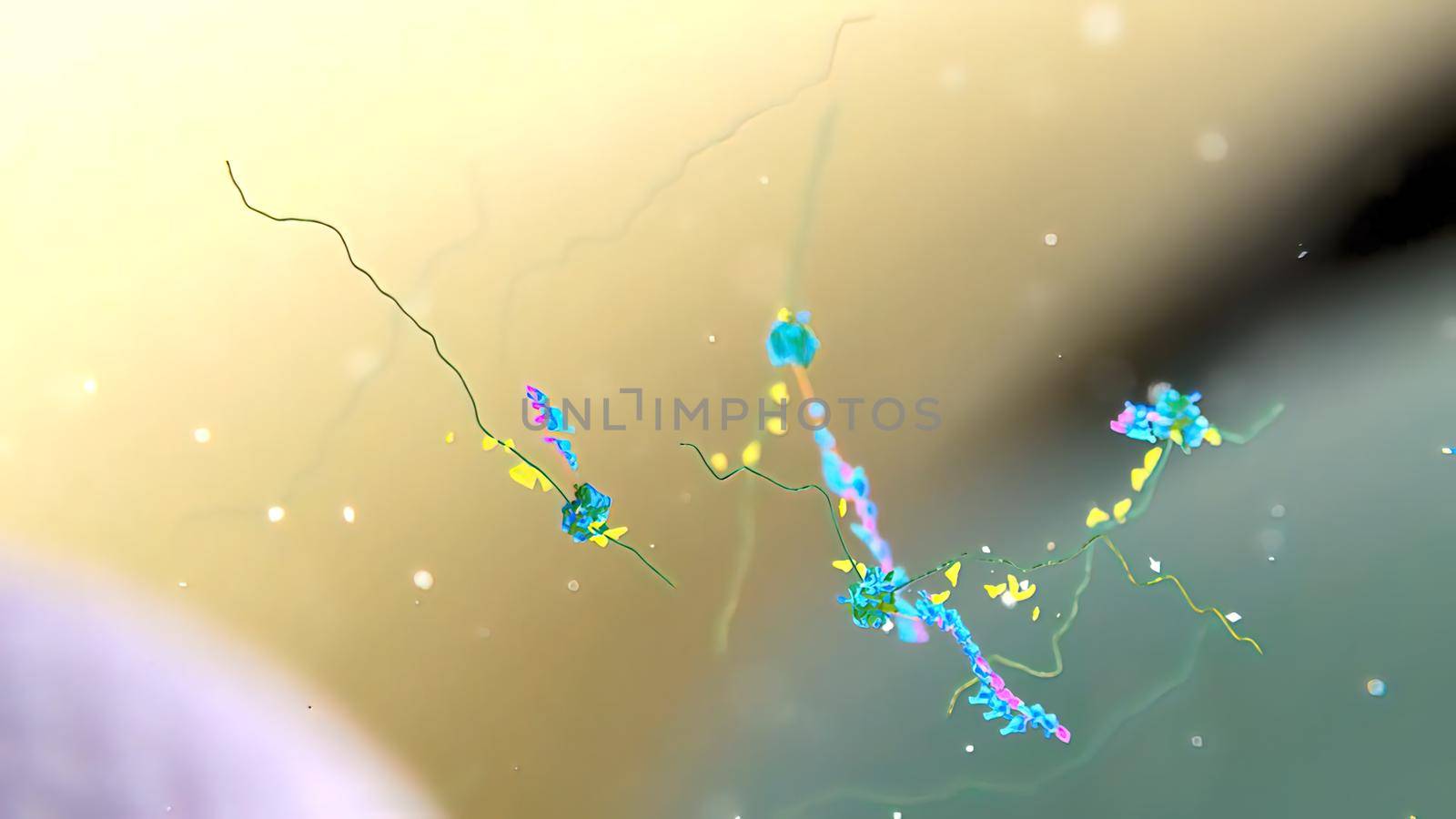 Elucidation of the process of DNA replication. Mitochondrial dna processing by creativepic