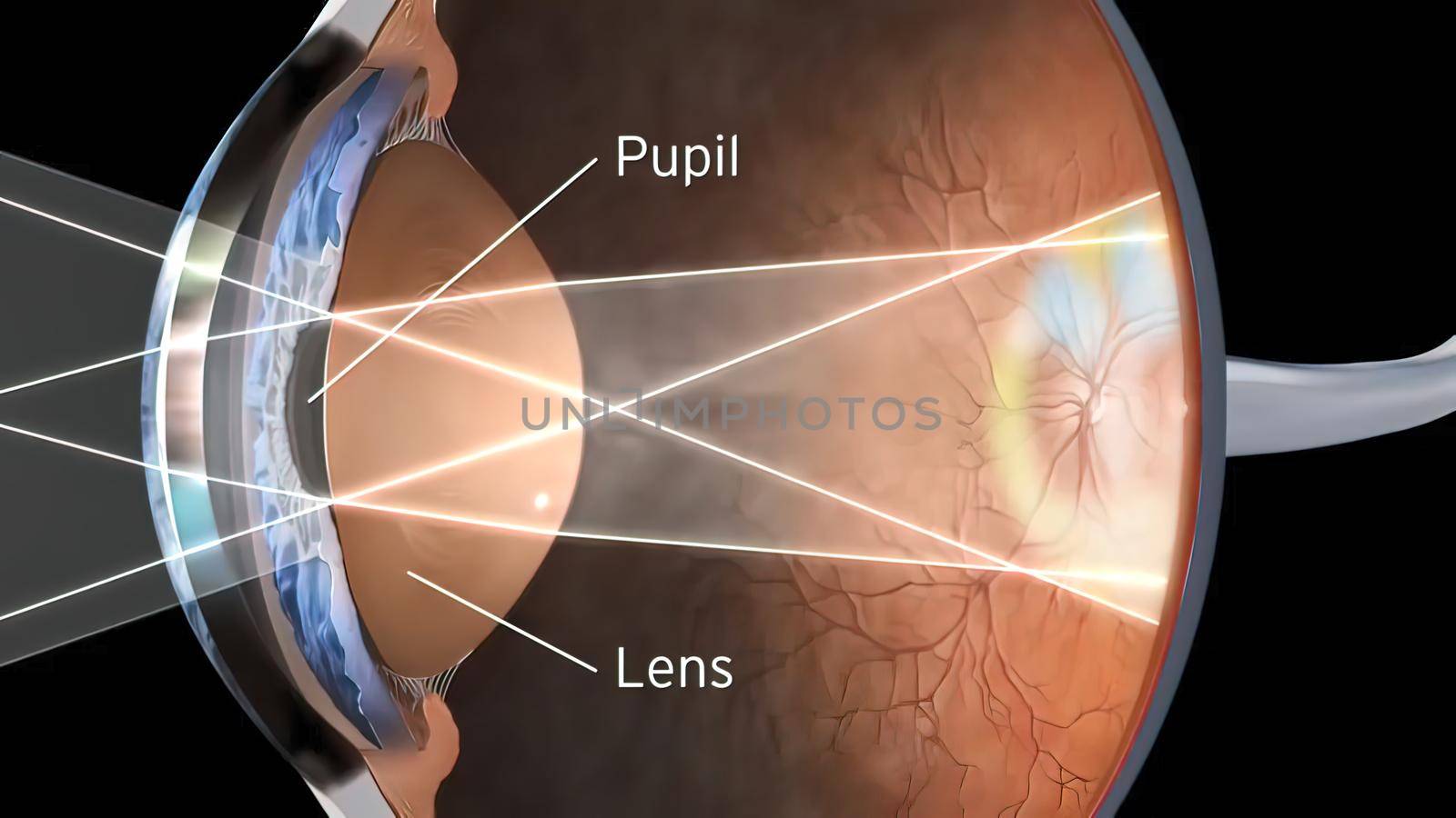 human eye vision structure 3d illustration