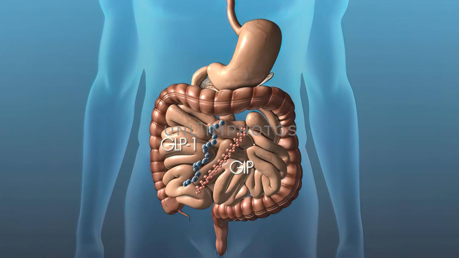 The importance of macrophage in the immune system 3D illustration