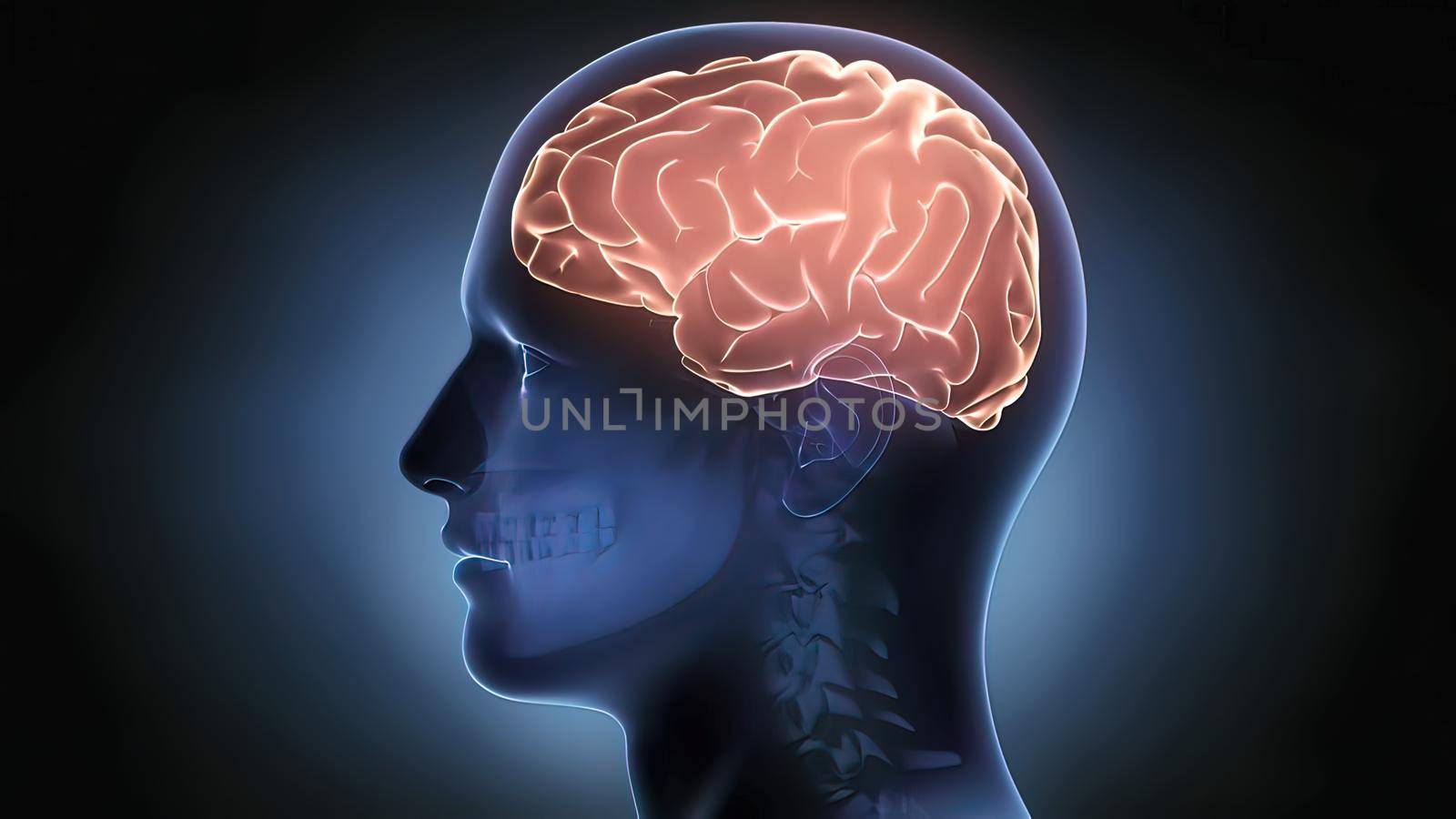 Brain-Left Hemisphere On A Black Background 3D illustration