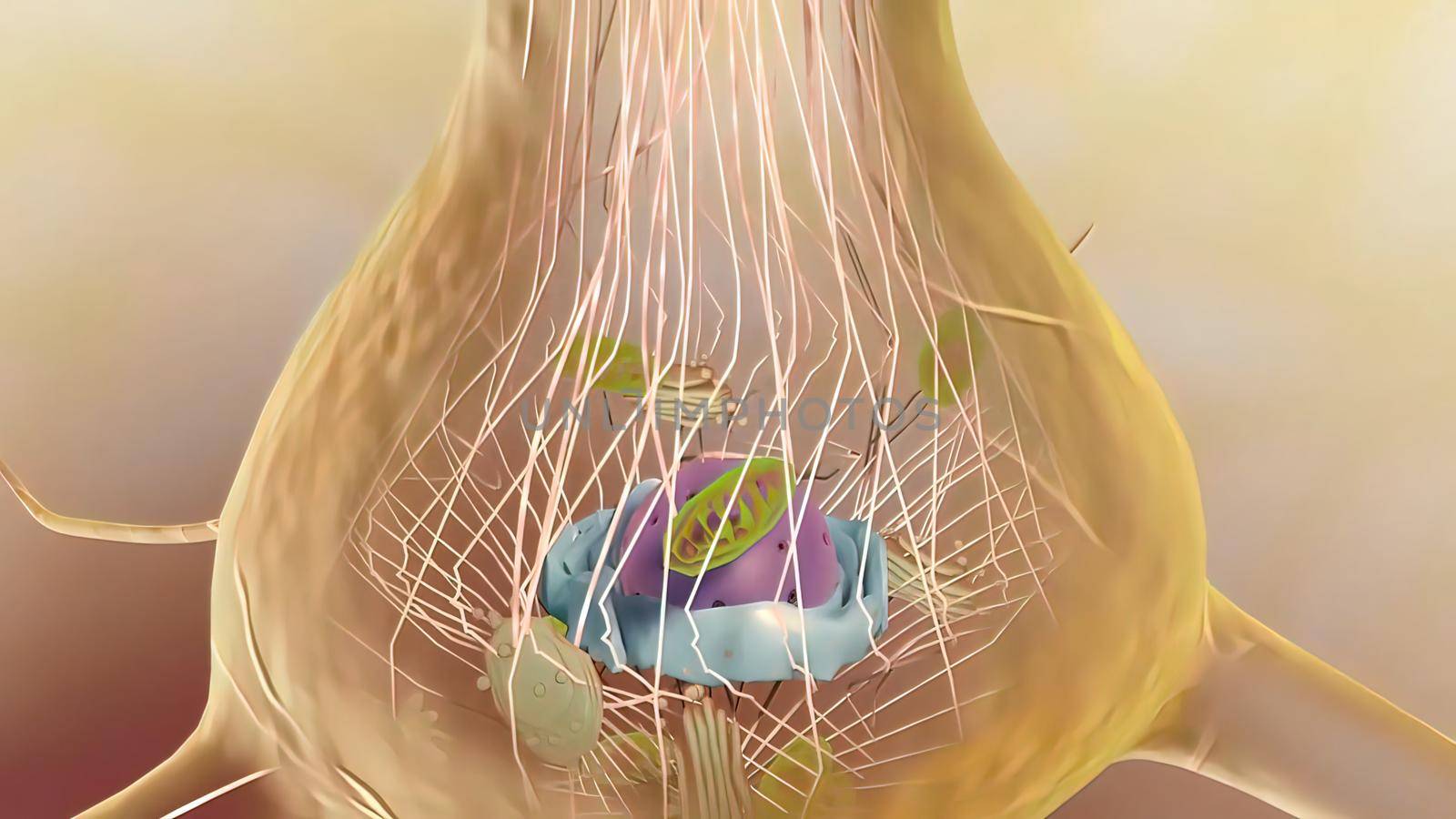 Microtubules are major components of the cytoskeleton 3D illustration