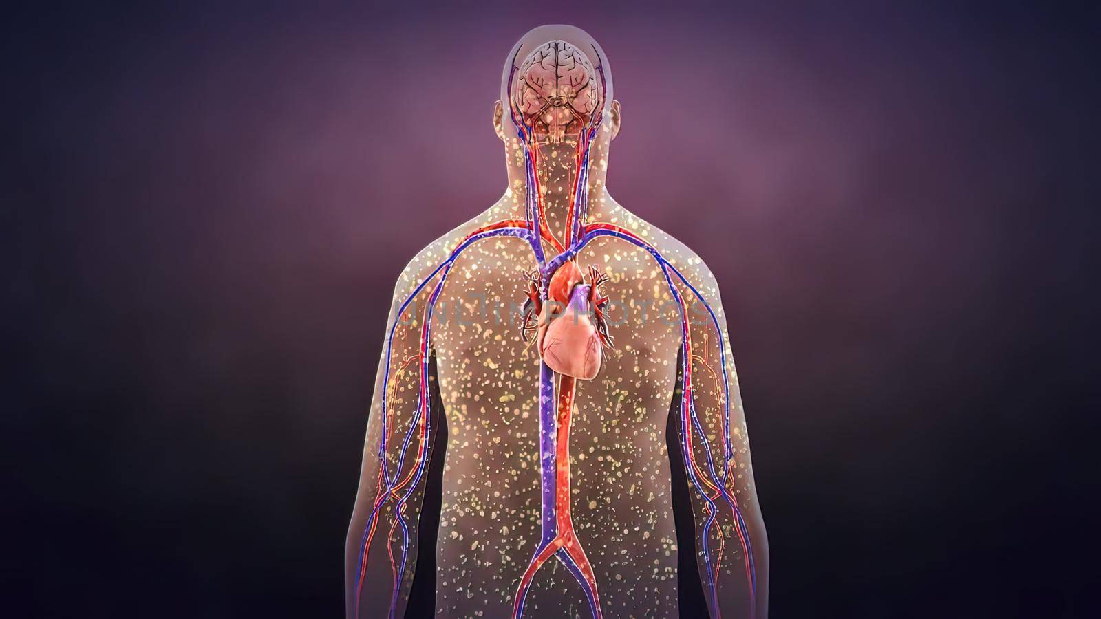 loss of bacteria in the body 3D illustration