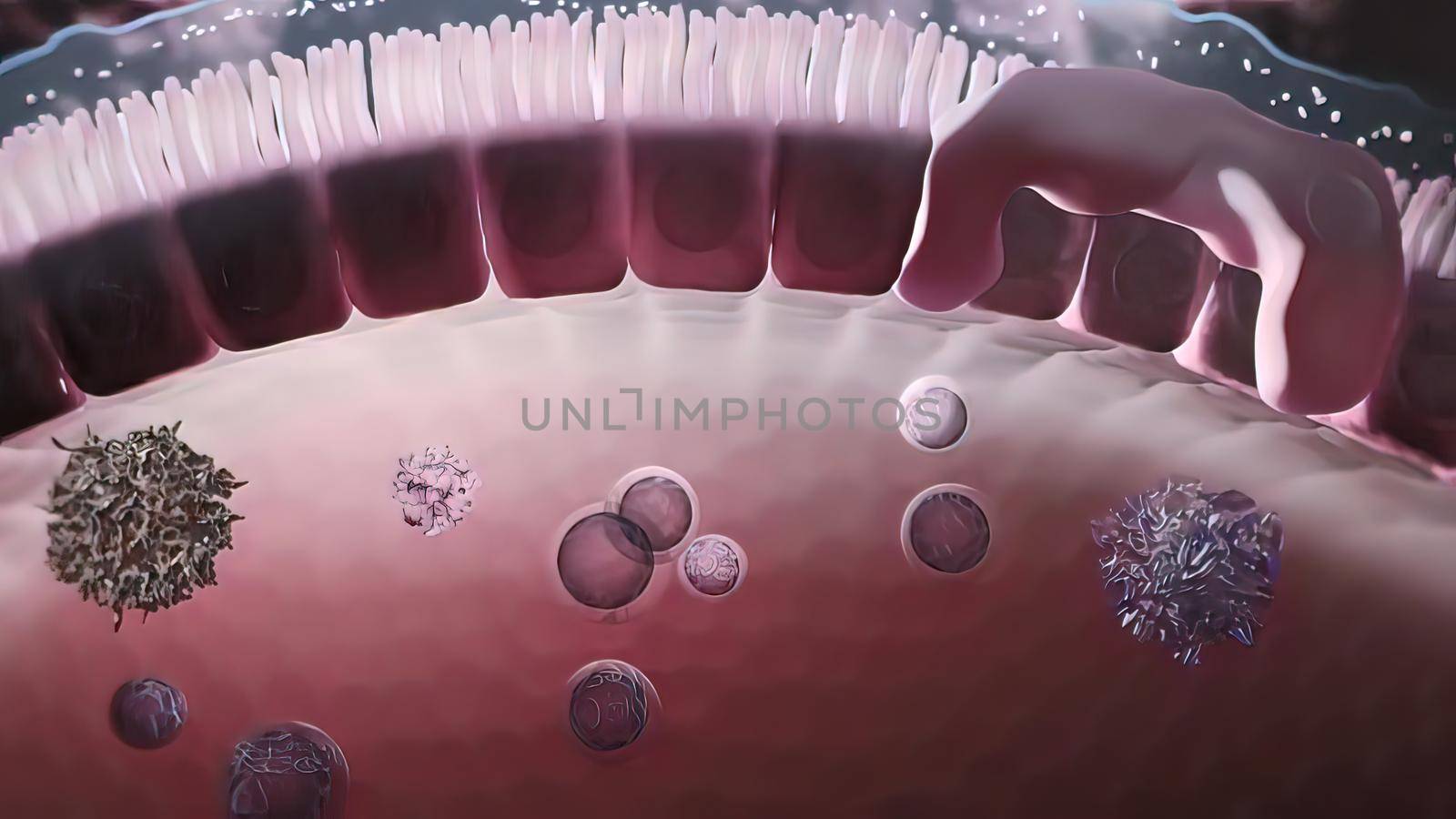 immune system and defense system 3D illustration