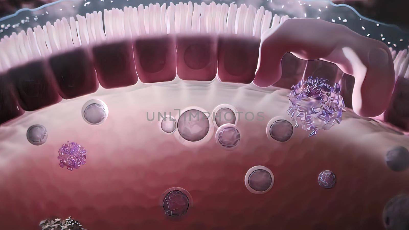 immune system and defense system 3D illustration