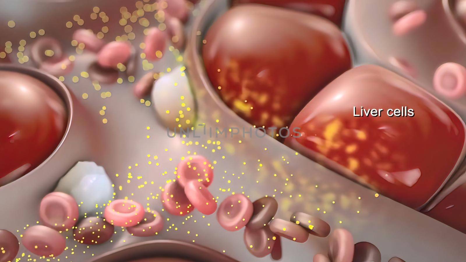 The term hepatitis means inflammation, and liver cells can become inflamed because of infection. 3D illustration