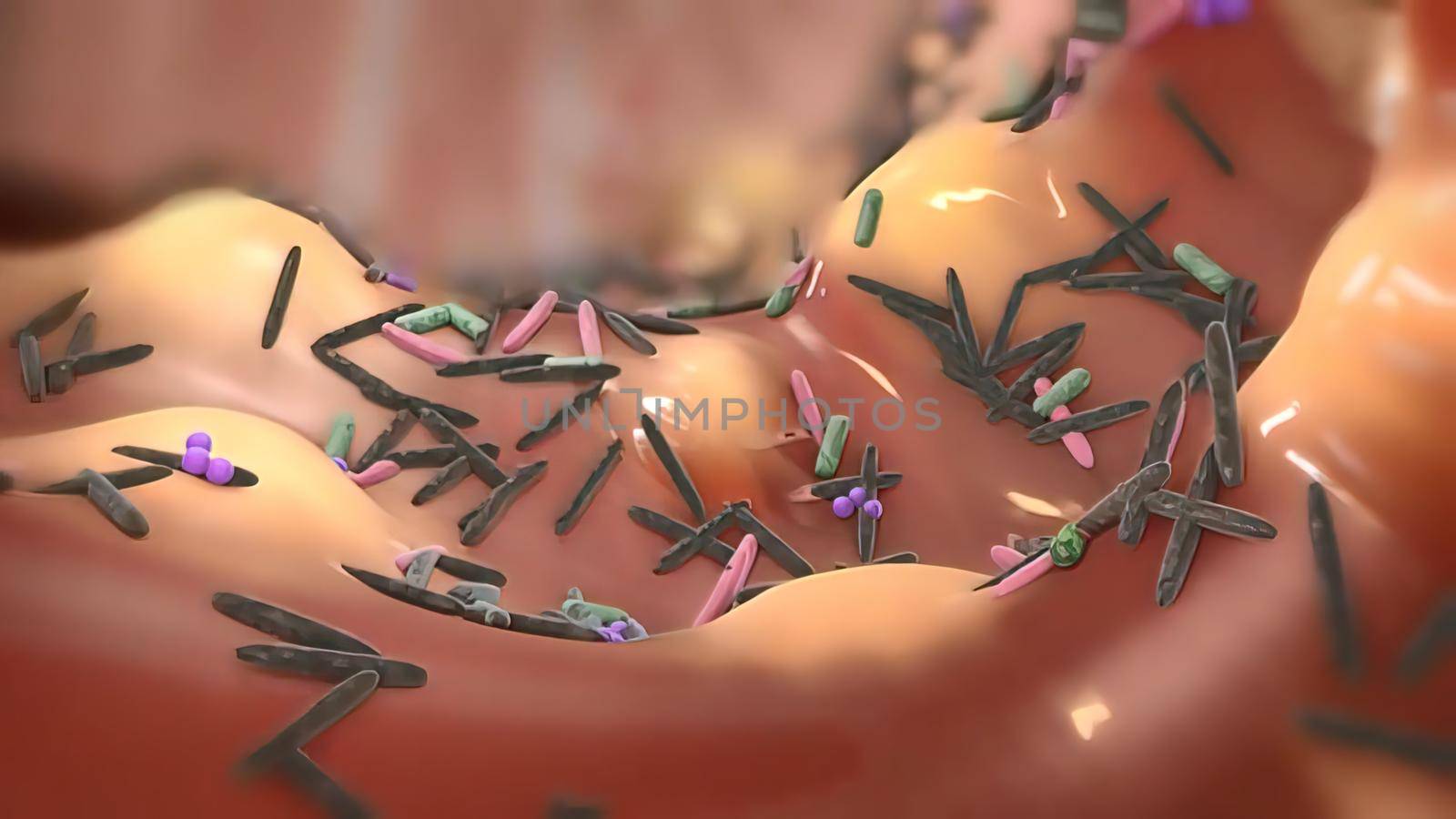 The immune response is how your body recognizes and defends itself against bacteria, viruses, and substances that appear foreign and harmful to the body. 3D illustration