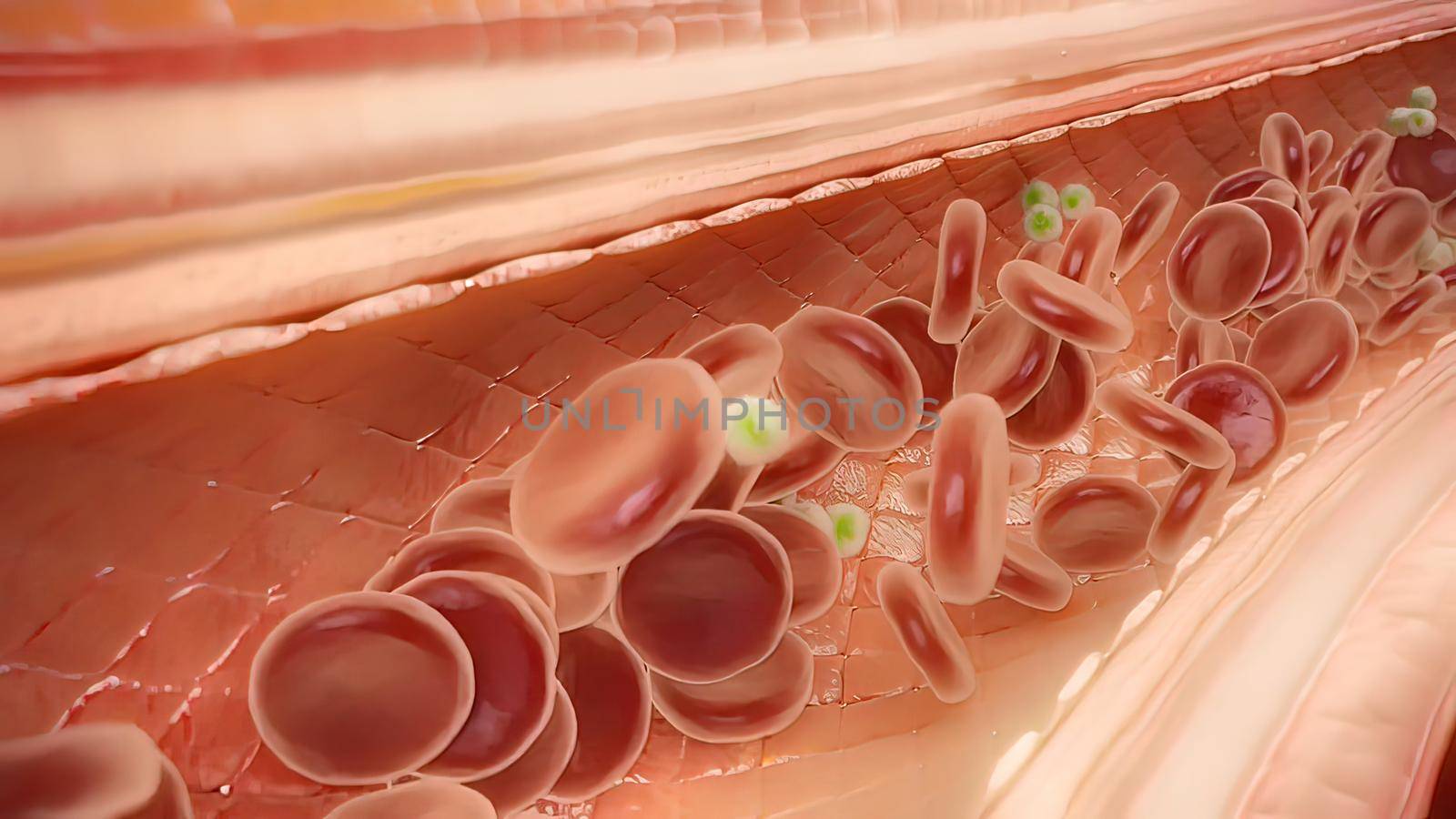 The viruses and bacteria that cause meningitis can be spread through 3D illustration