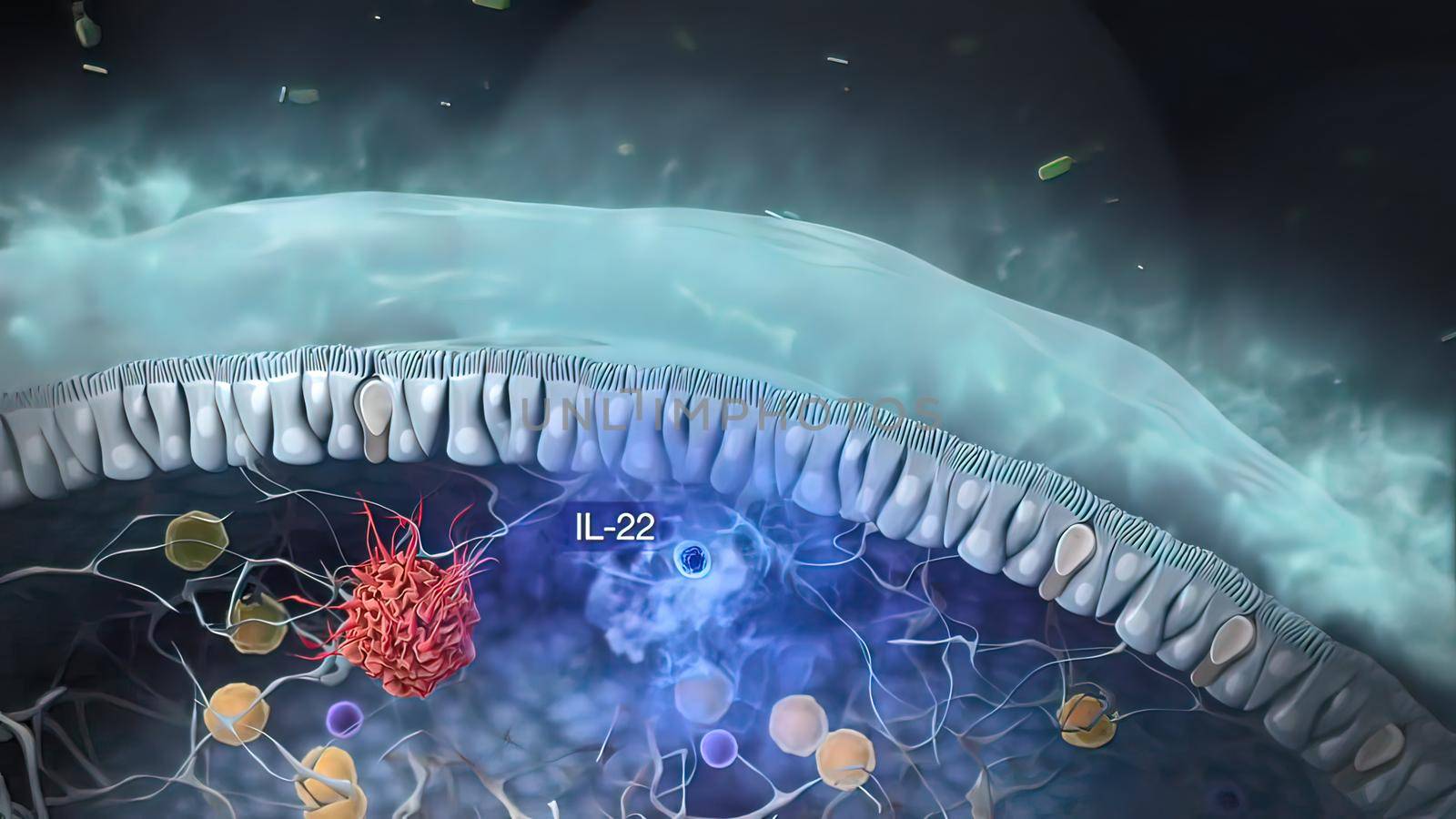 Identification of the ILC progenitor cell. Innate lymphoid cells are the most recently discovered family of innate immune cells. 3D illustration