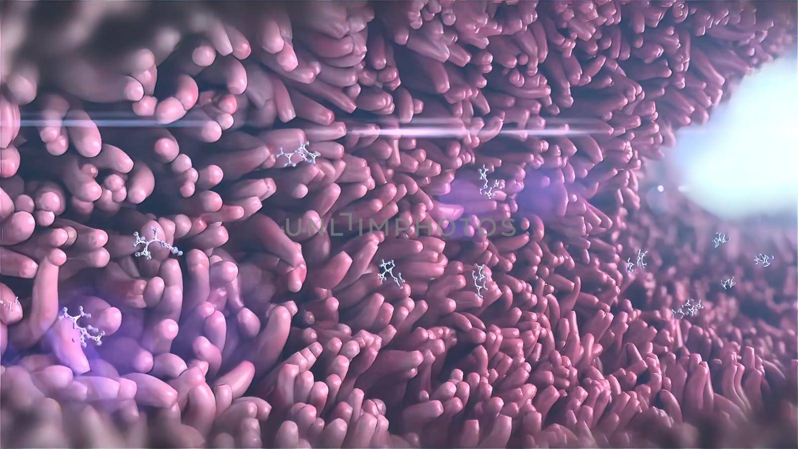 human skin and immune system 3D illustration
