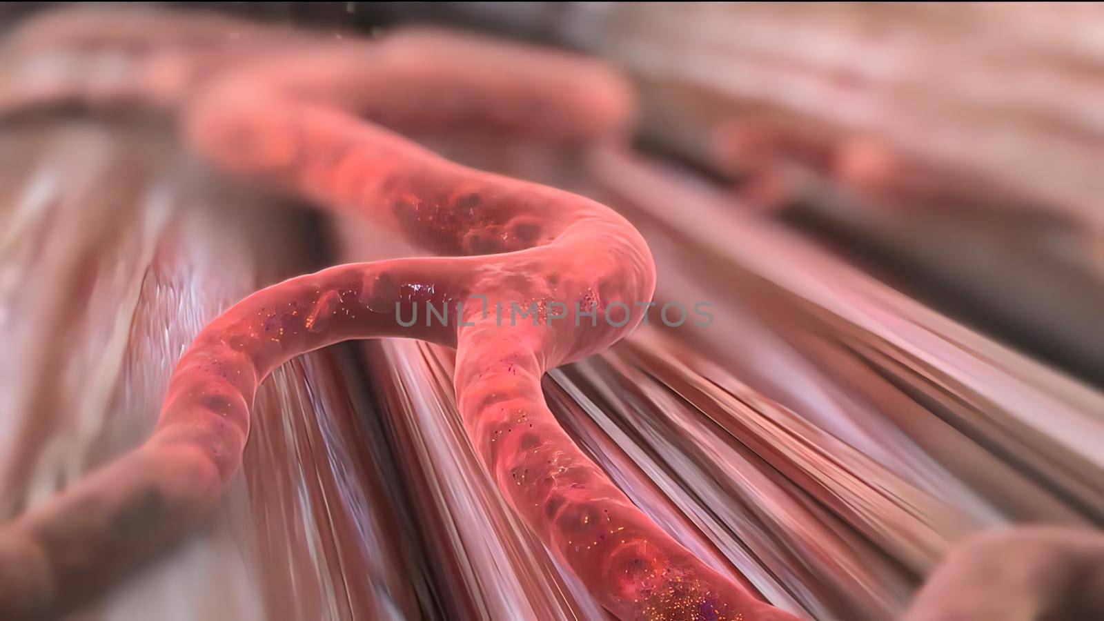 The insulin tells cells throughout your body to take in glucose from your bloodstream 3D illustration