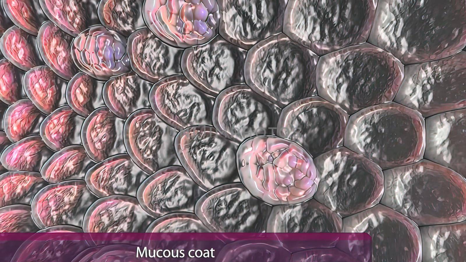 Mucus formation in human lungs 3D illustration