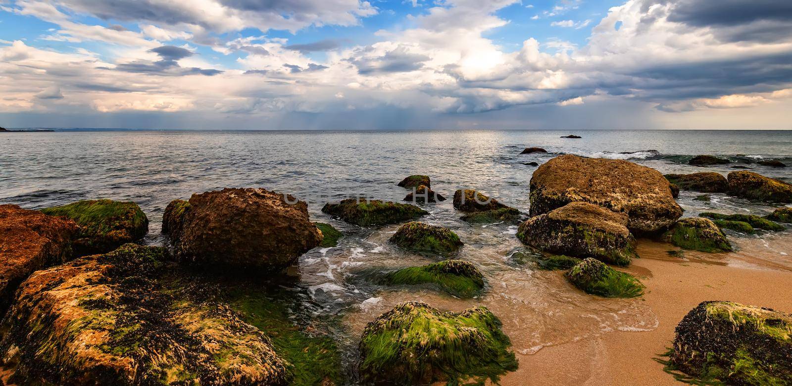 Panoramic view of rocky coast with green moss on the stones.