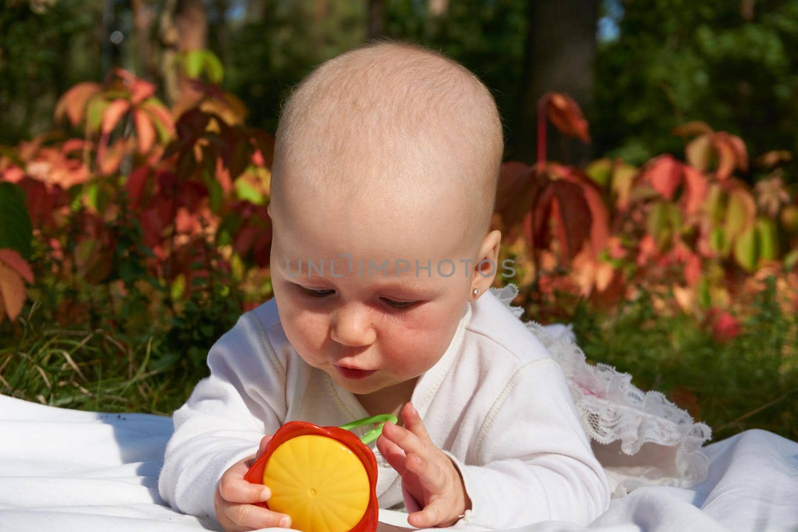 Little wonderful baby crawling on a blanket on a warm summer day in the park by jovani68