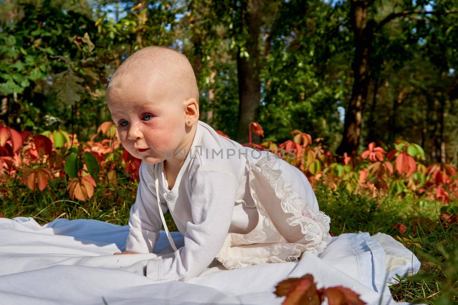 Little wonderful baby crawling on a blanket on a warm summer day in the park by jovani68