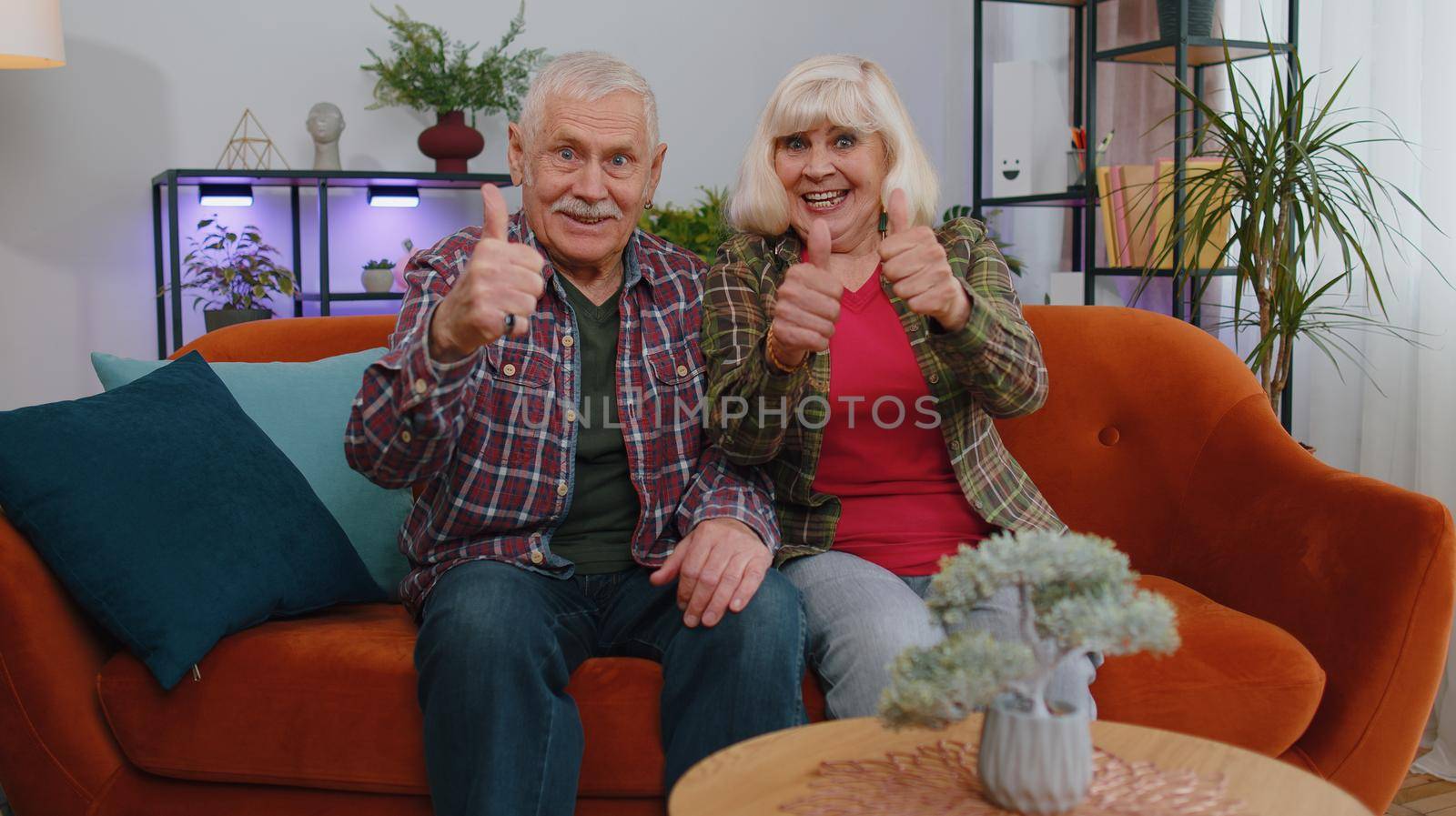 Pretty happy senior elderly family couple grandparents man woman shouting, raising fists in gesture I did it, celebrating success, winning and goal achievemen. Grandmother grandfather indoors at home