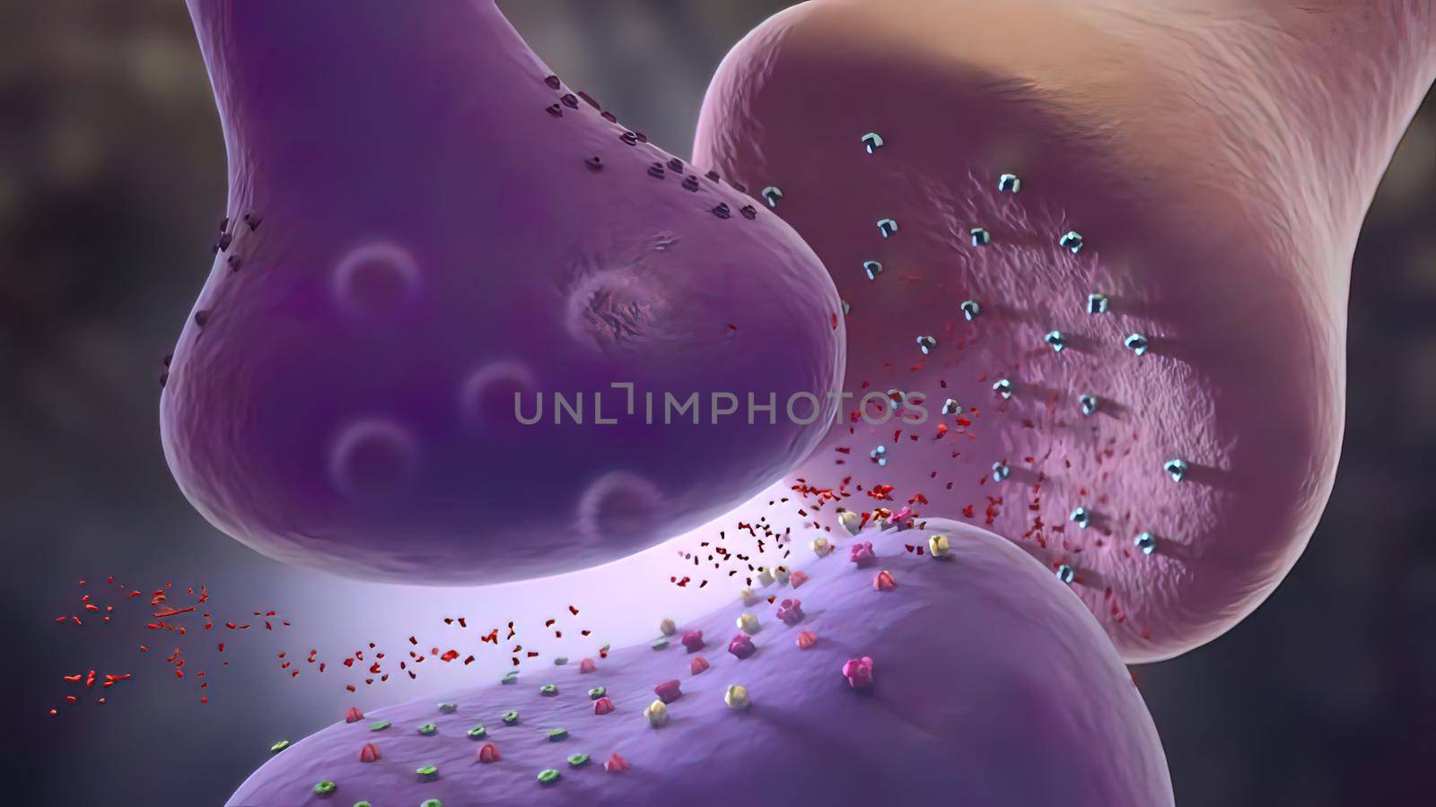 Neurons deprived of major input from axons that have been destroyed may themselves atrophy. This phenomenon is called anterograde degeneration.3D illustration