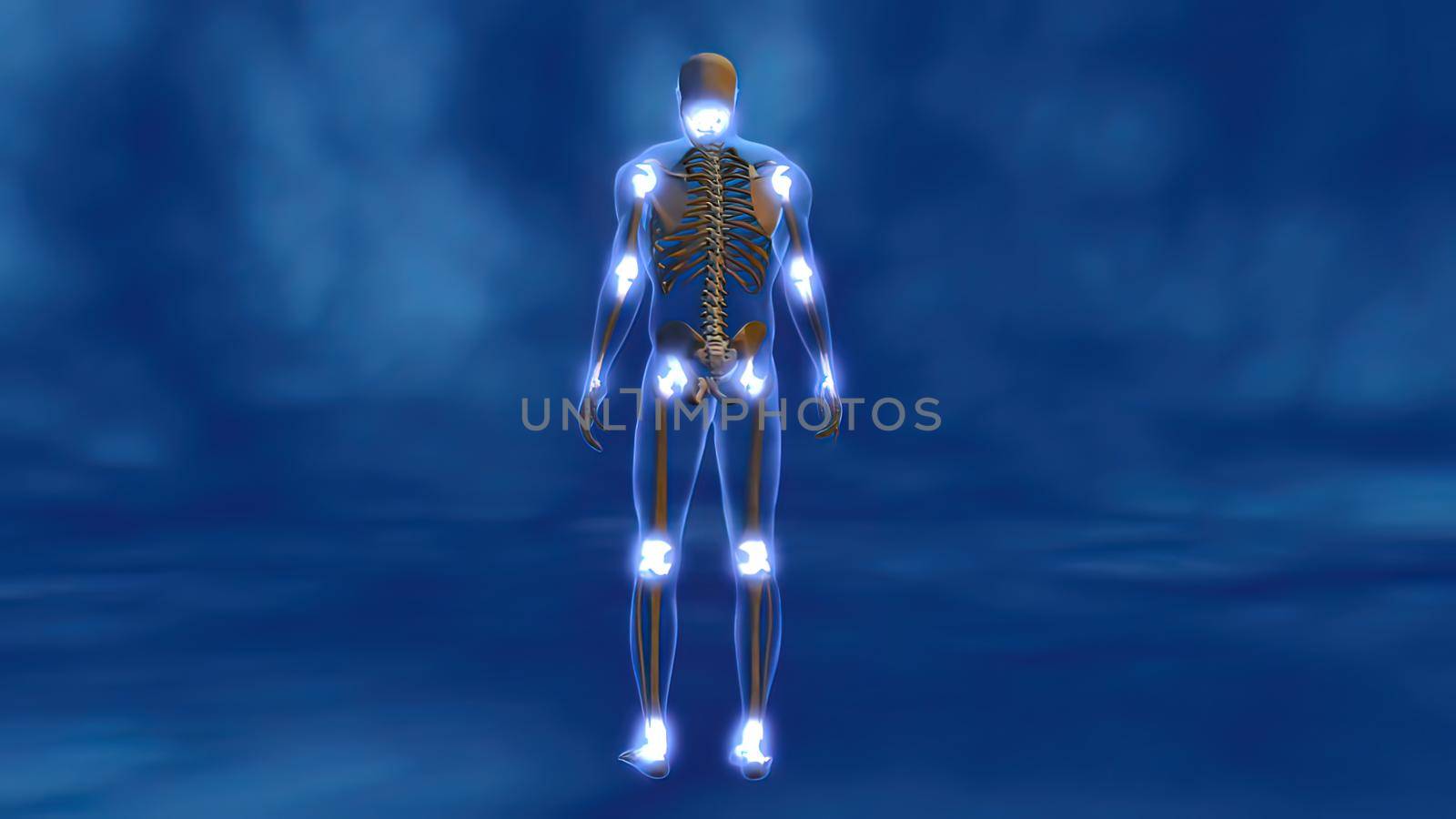 male body skeleton and muscles by creativepic