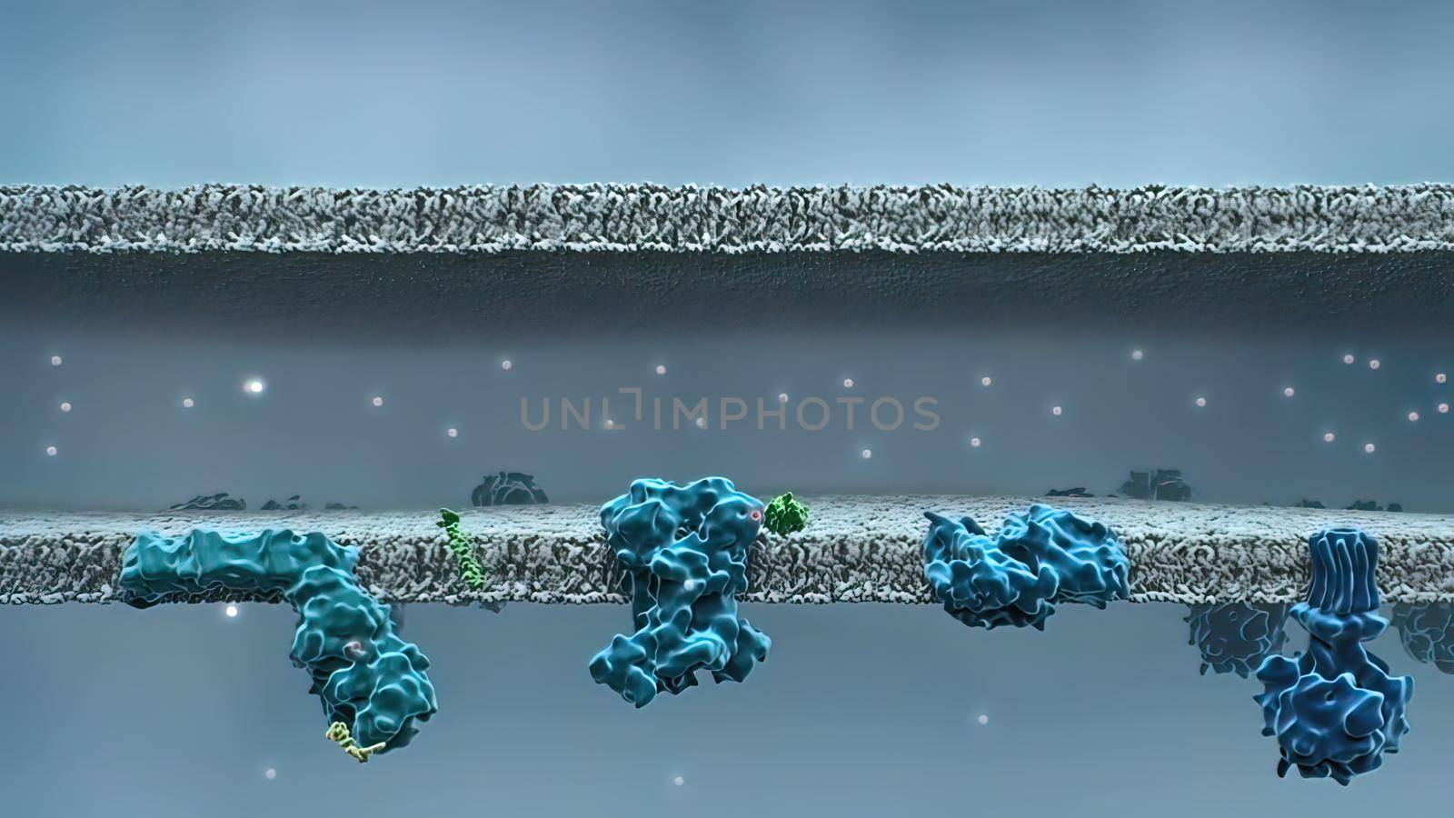 Mitochondrial DNA is the small circular chromosome found inside mitochondria. These organelles found in cells have often been called the powerhouse of the cell. 3D illustration