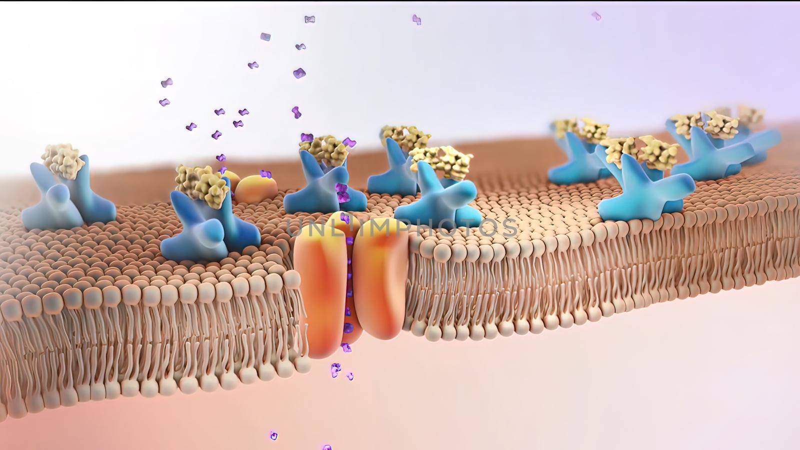 insulin receptors 3d medical illustration