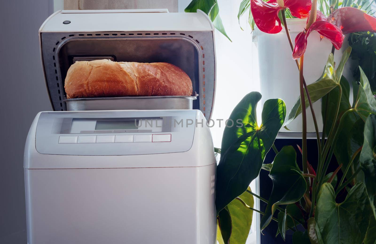 Household appliances: electric oven for baking bread at home. The white bread baked in it.