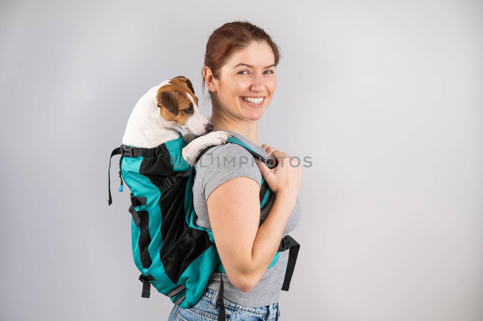 Caucasian woman carries jack russell terrier dog in her backpack